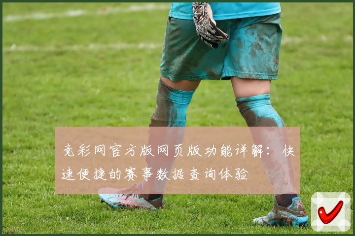 竞彩网官方版网页版功能详解：快速便捷的赛事数据查询体验