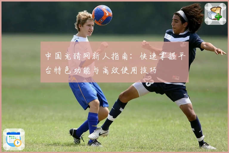 中国竞猜网新人指南:快速掌握平台特色功能与高效使用技巧