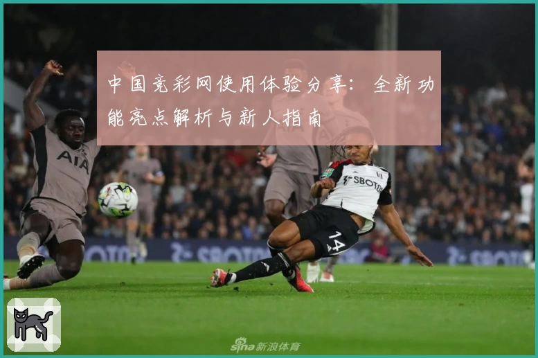 中国竞彩网使用体验分享：全新功能亮点解析与新人指南