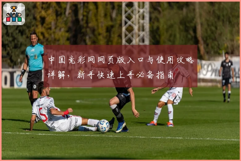 中国竞彩网网页版入口与使用攻略详解，新手快速上手必备指南